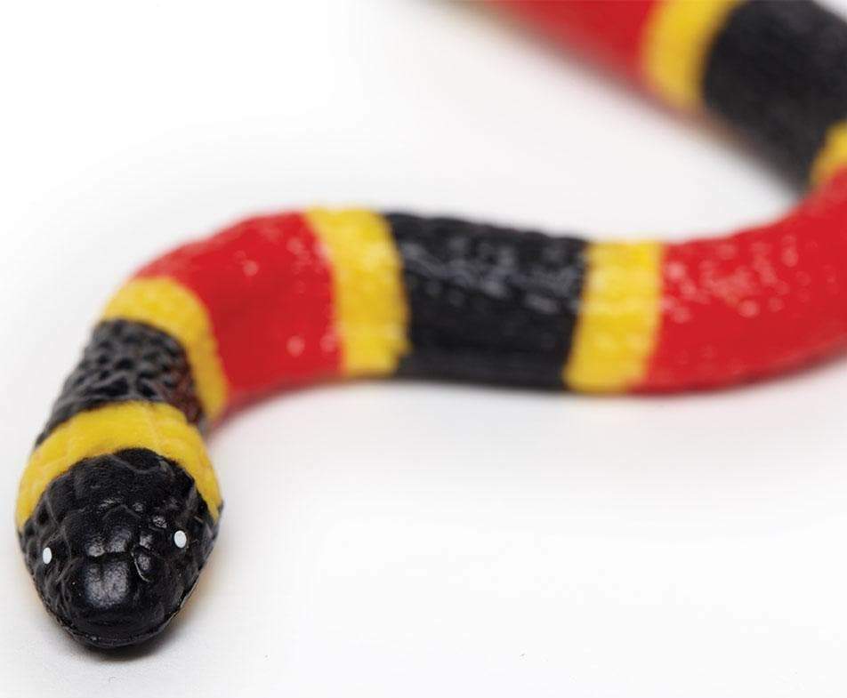 Coral Snake Baby Toy