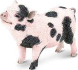 Pot-Bellied Pig Toy