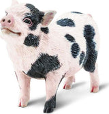 Pot-Bellied Pig Toy