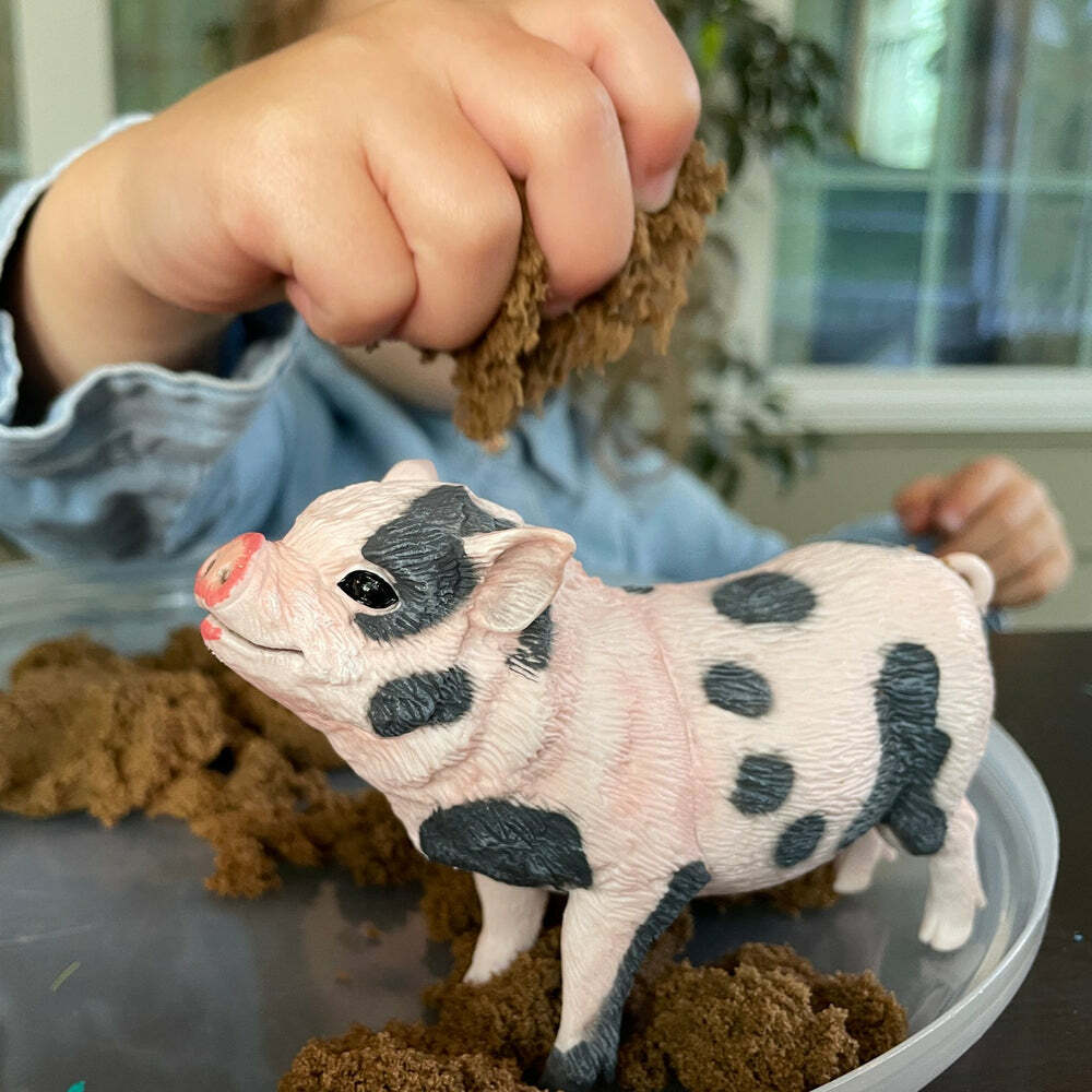 Pot-Bellied Pig Toy