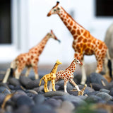 Reticulated Giraffe Baby Toy