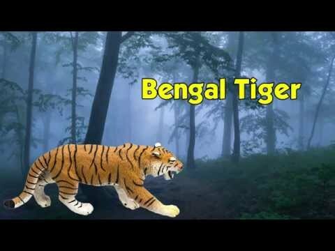 Bengal Tiger Toy