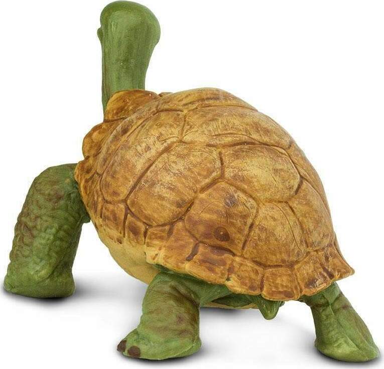 Giant Tortoise Toy