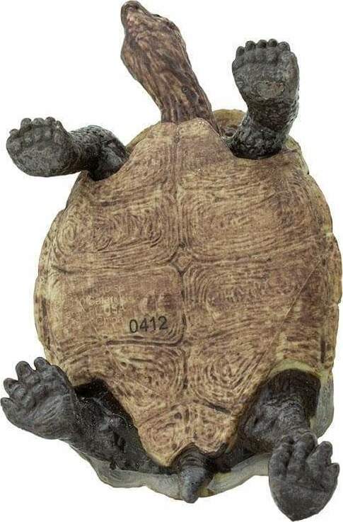 Desert Tortoise Toy