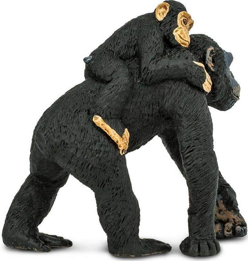 Chimpanzee with Baby Toy