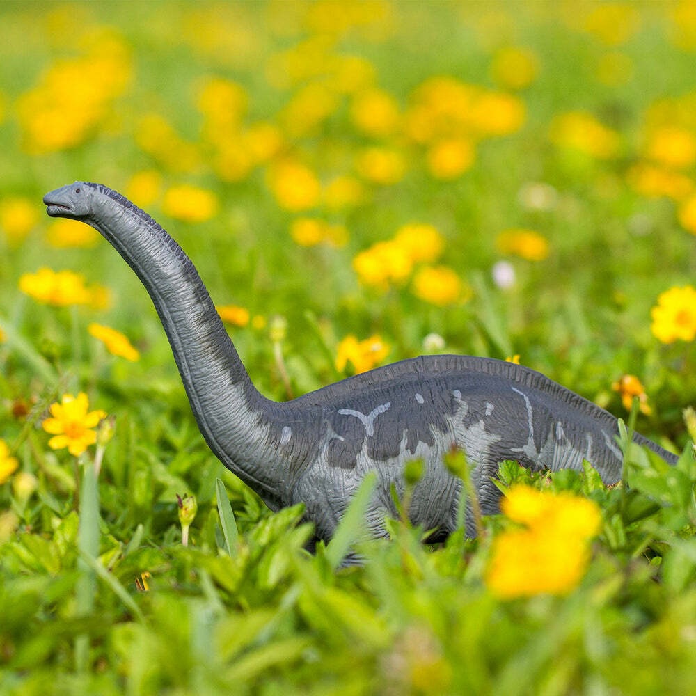 Apatosaurus Toy