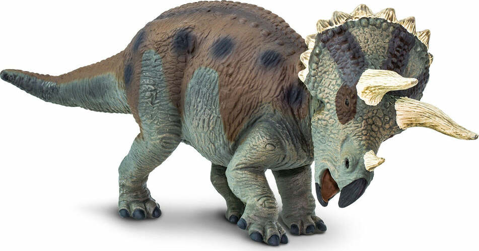 Triceratops Toy