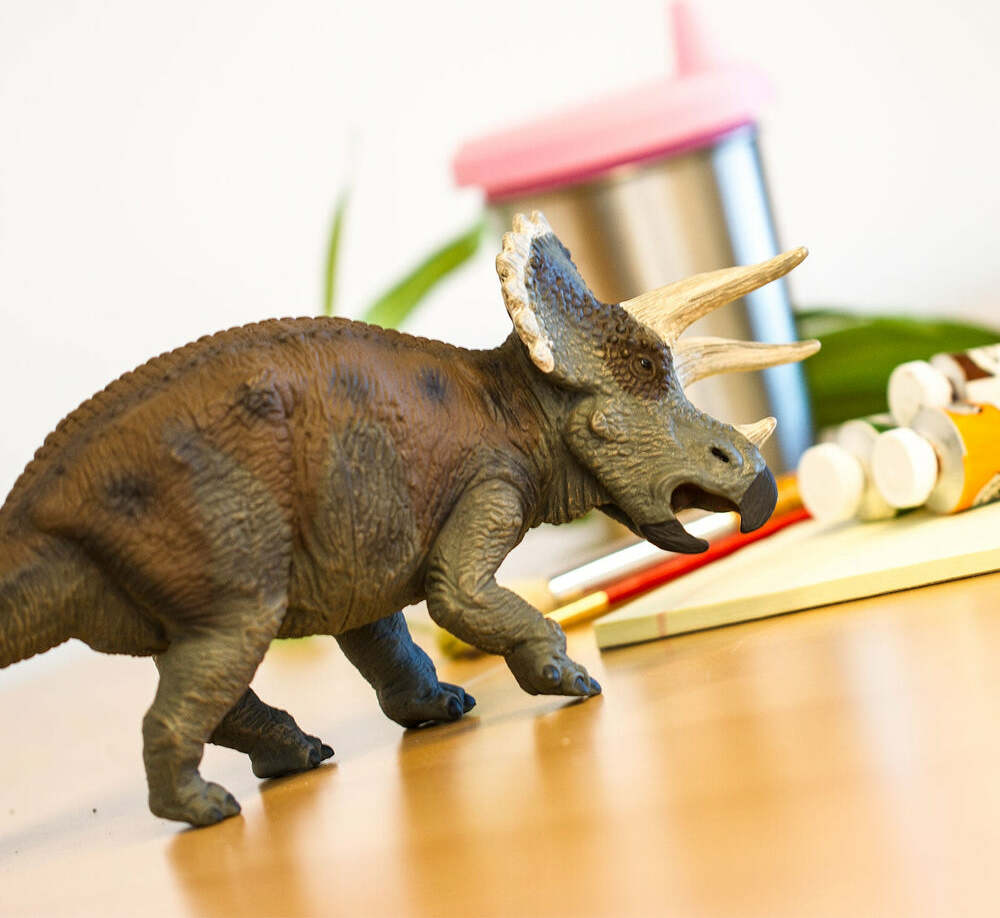 Triceratops Toy