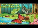 Life Cycle of a Monarch Butterfly