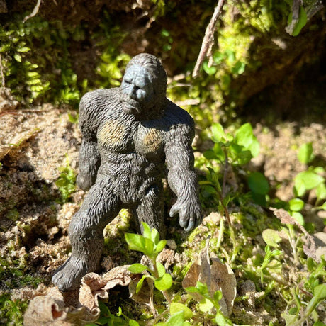 Cryptozoology Designer TOOB®