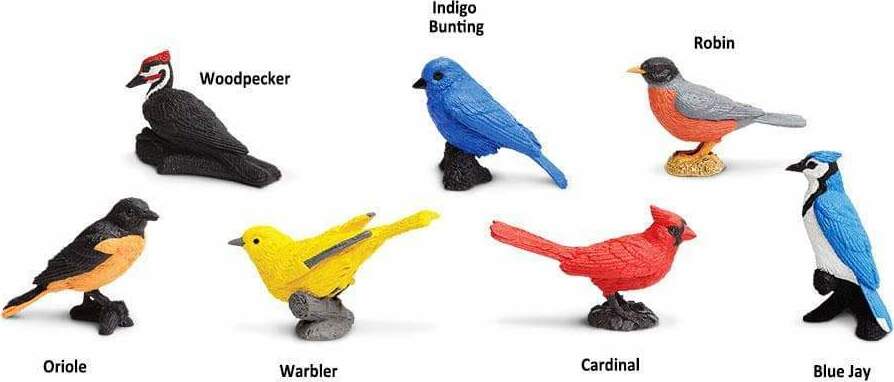 Backyard Birds TOOB® – School Crossing