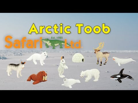 Arctic TOOB®