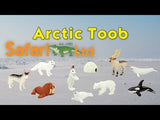 Arctic TOOB®