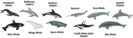 Whales & Dolphins TOOB®