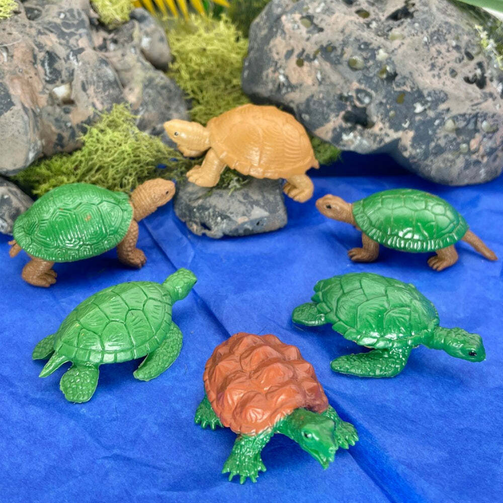 Frogs & Turtles TOOB® – School Crossing