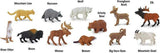 North American Wildlife TOOB®