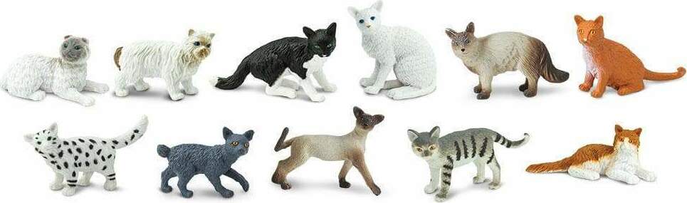 Domestic Cats TOOB®