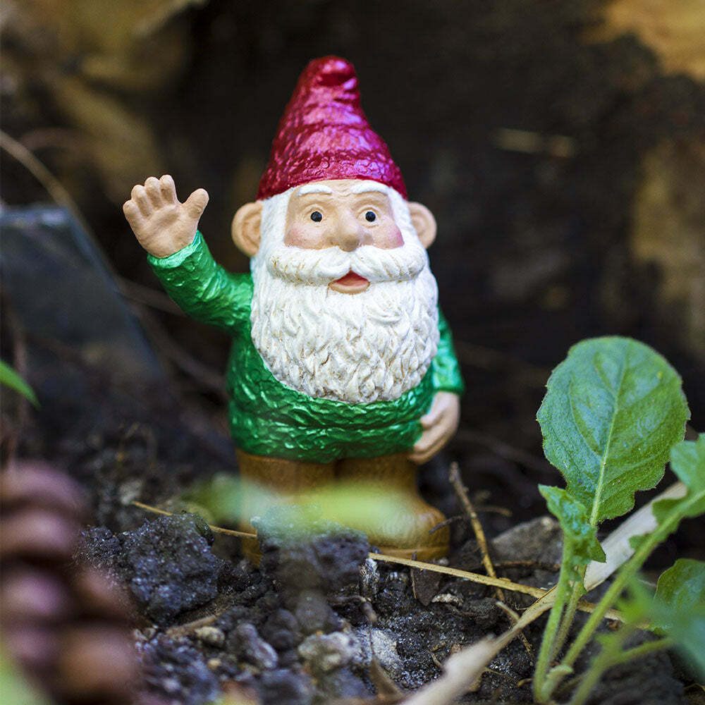 Gnorman The Gnome-Green