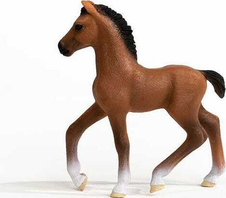 Oldenburger Foal