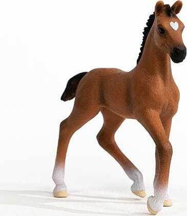 Oldenburger Foal