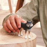 American Wolf Animal Toy Figurine