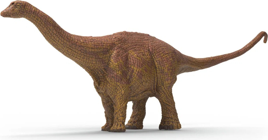 Brontosaurus