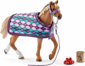 English Thoroughbred with Blanket