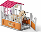 Horse Stall With Arab Horses And Groom