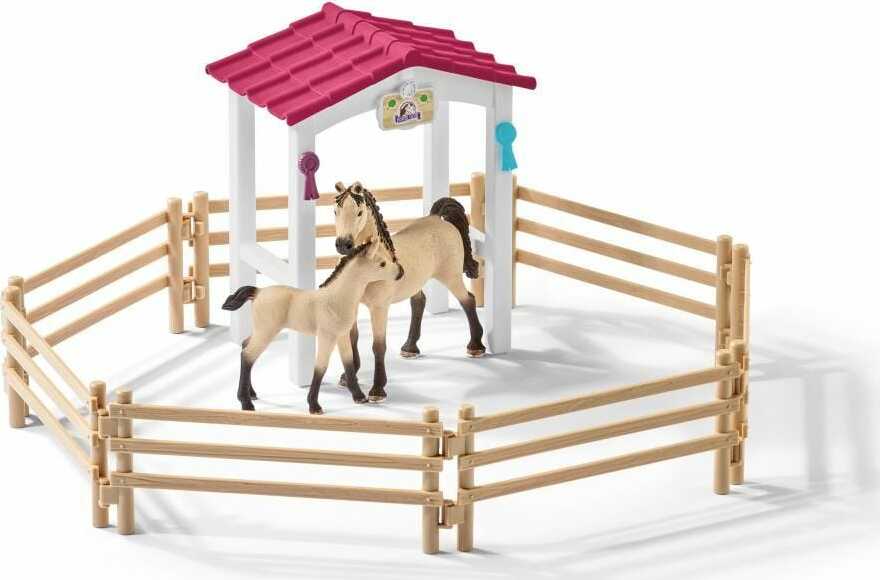 Horse Stall With Arab Horses And Groom