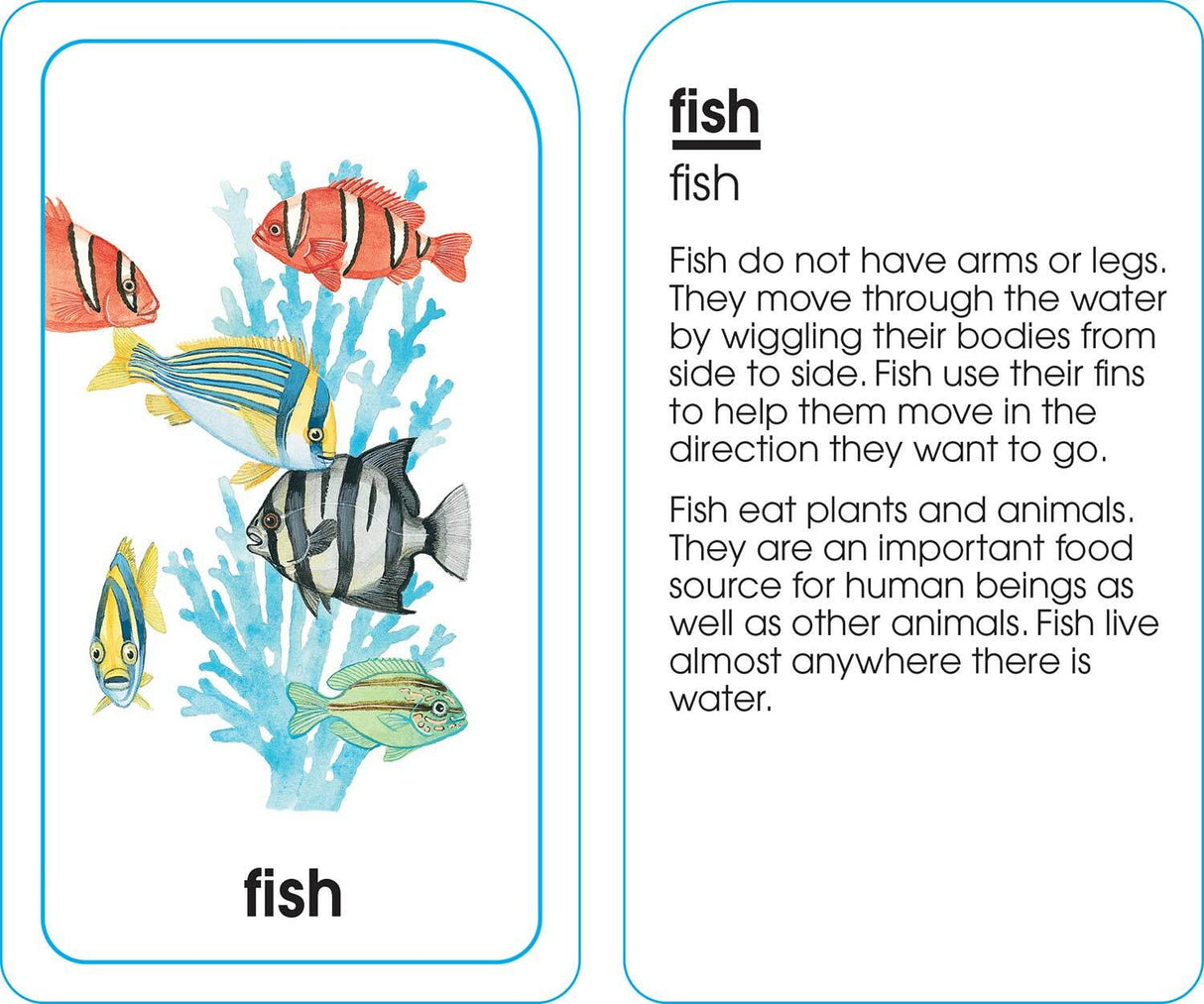 Animals of All Kinds Flash Cards