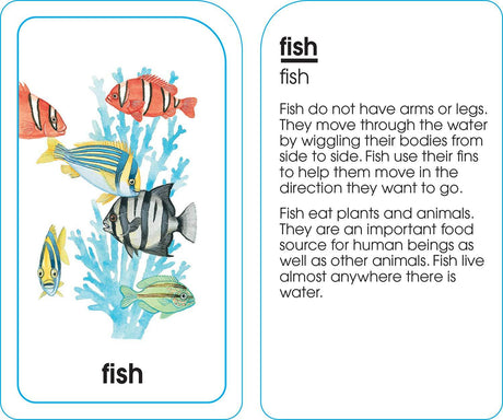 Animals of All Kinds Flash Cards