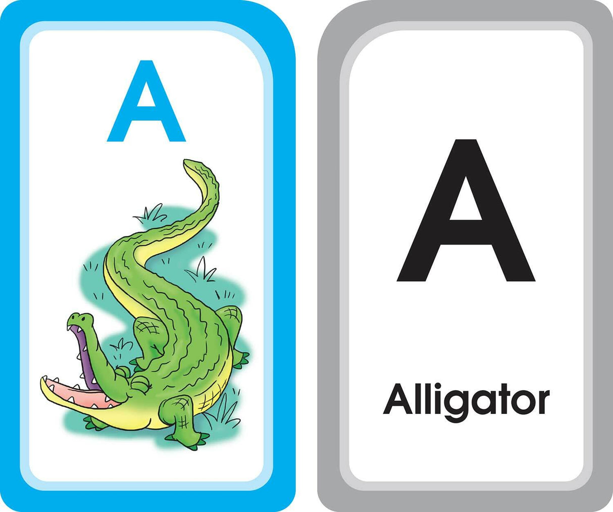 Alphabet Match Flash Cards