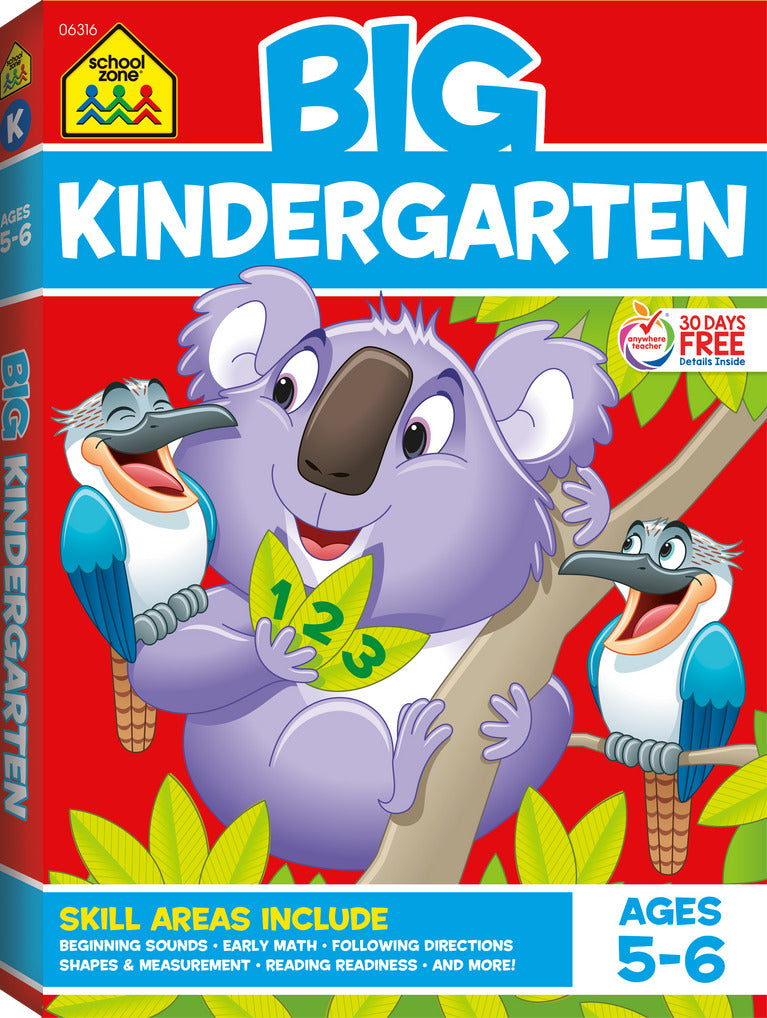 Big Kindergarten Workbook