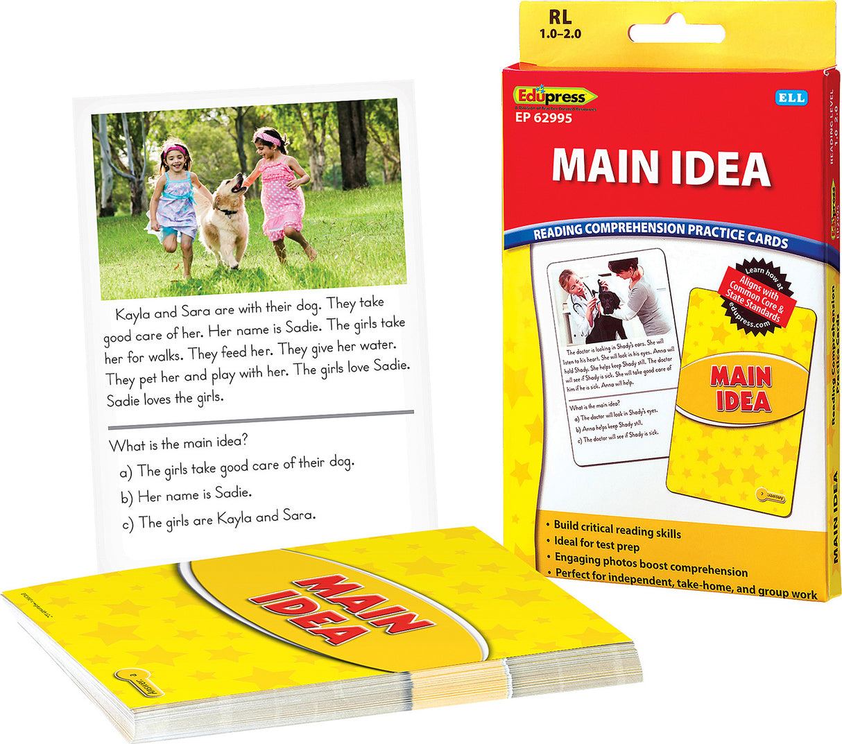 Reading Comprehension Practice Cards: Main Idea (Yellow Level)