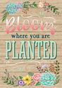 Bloom Where You Are Planted Positive Poster