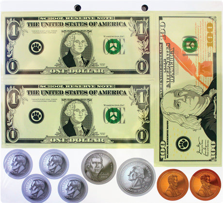 Money Magnetic Accents