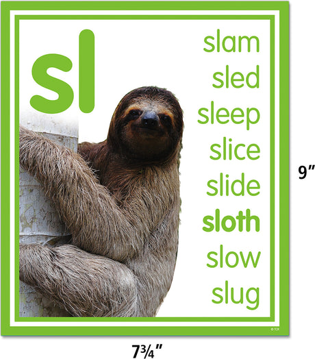 Colorful Photo Cards Digraphs and Blends Bulletin Board