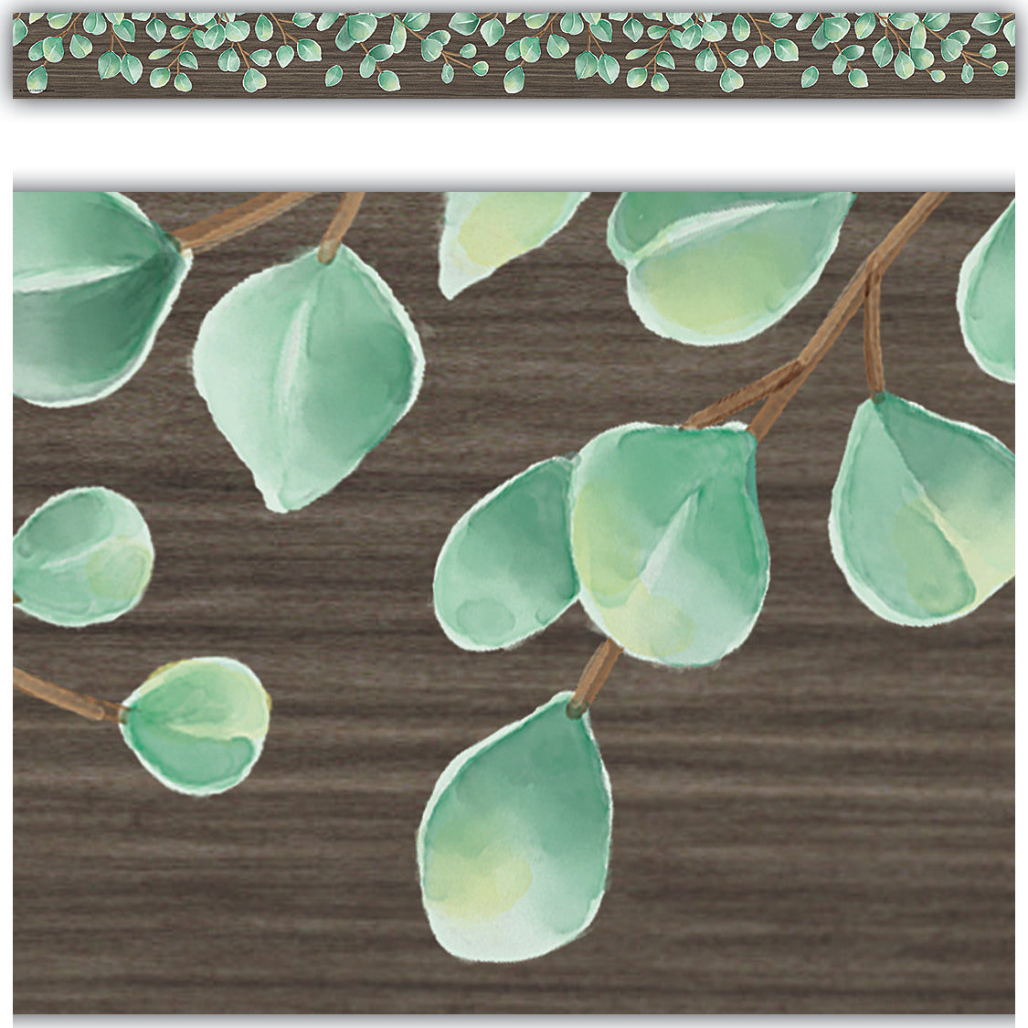 Eucalyptus Straight Border Trim