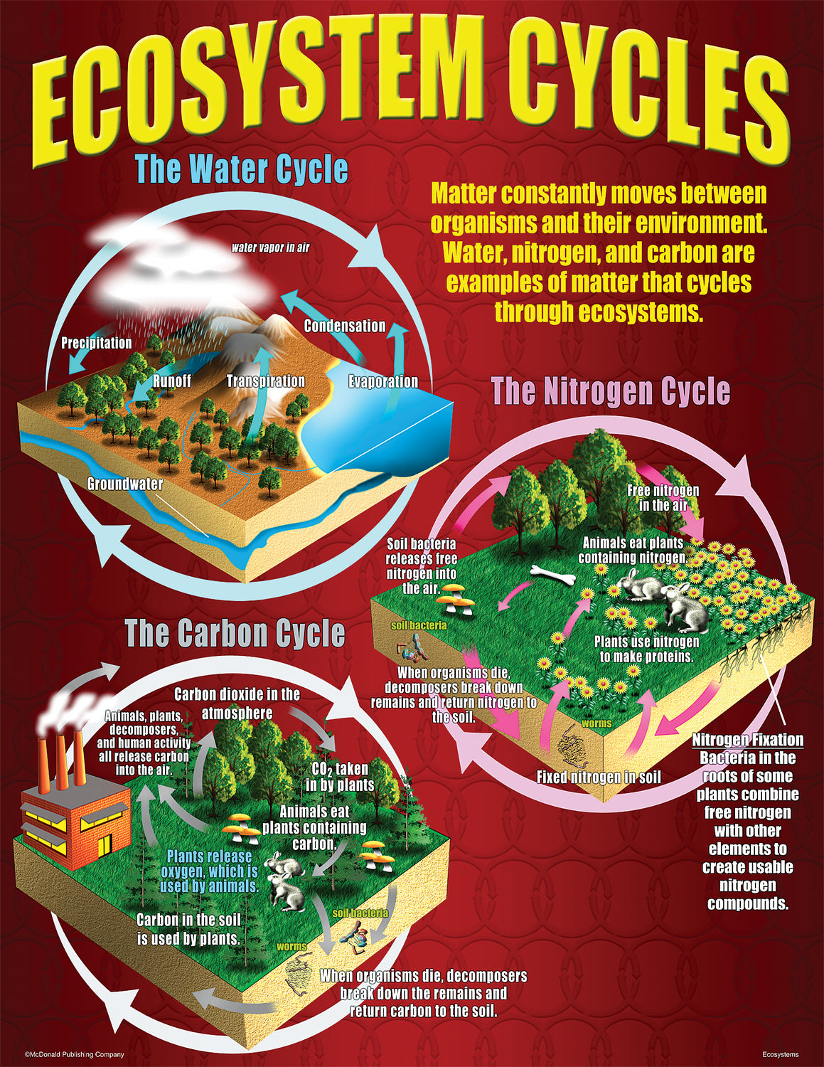 Ecosystems Poster Set