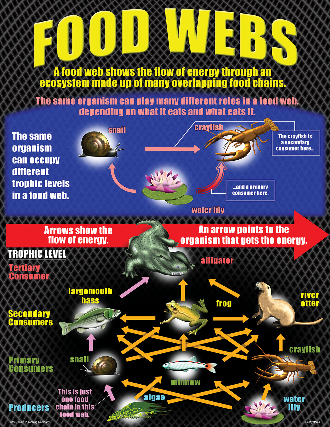 Ecosystems Poster Set