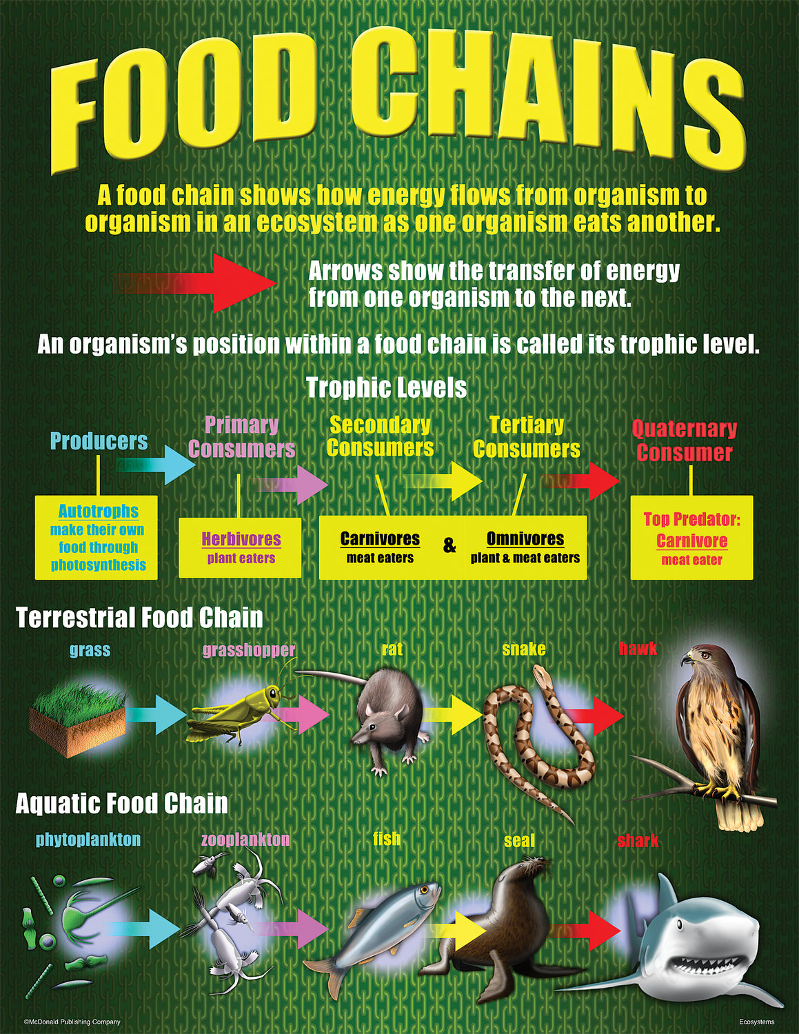 Ecosystems Poster Set