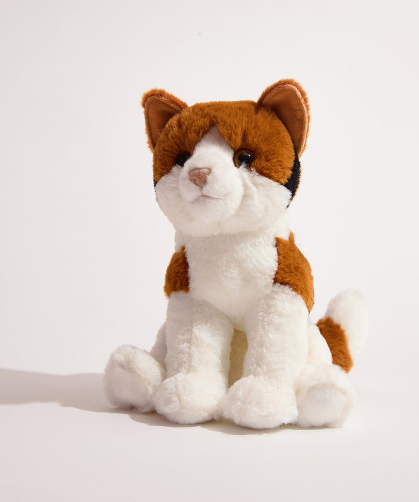 Patches Calico Cat