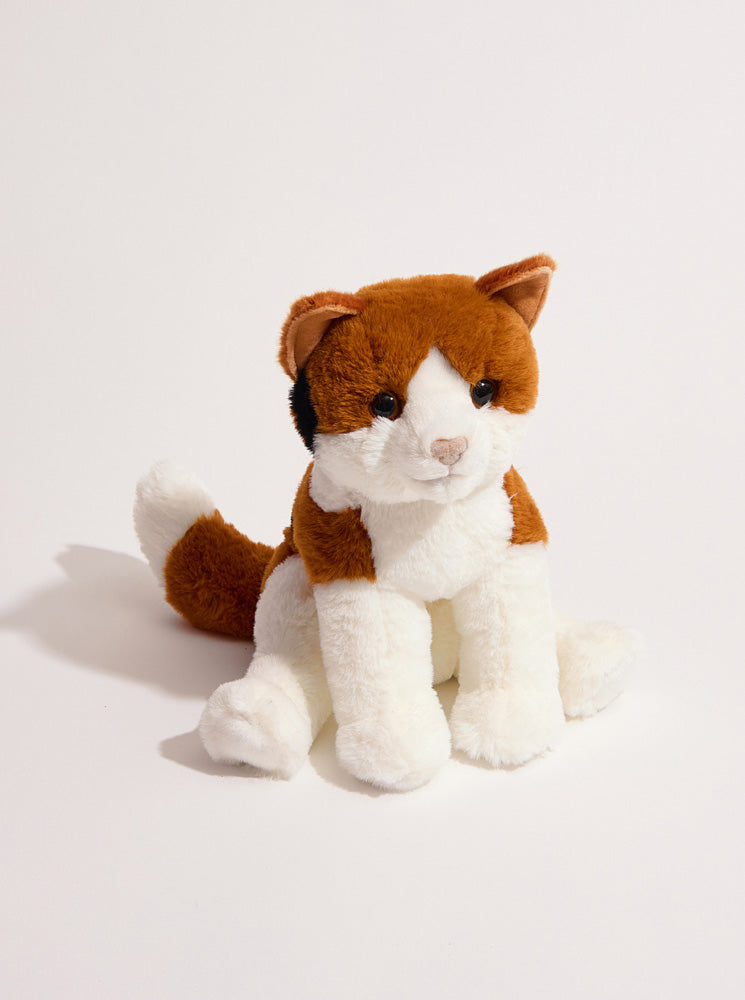 Patches Calico Cat