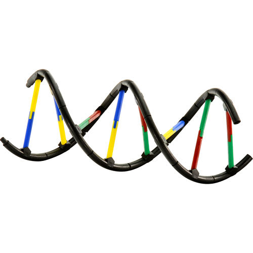 Genetics & DNA (V 2.0)