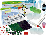 Genetics  Dna Lab