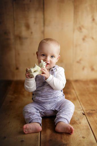 Giraffe Natural Organic Rubber Teether, Rattle & Bath Toy