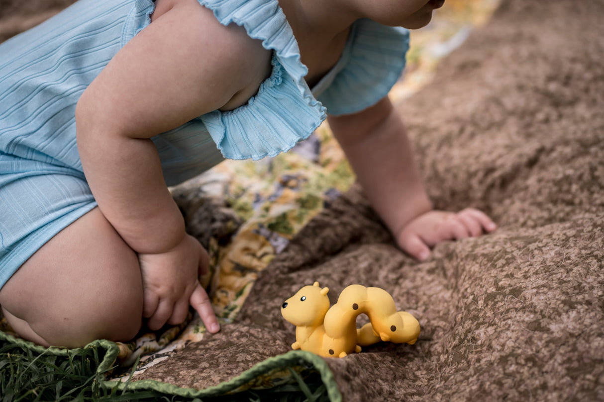 Caterpillar Natural Rubber Teether, Rattle & Bath Toy