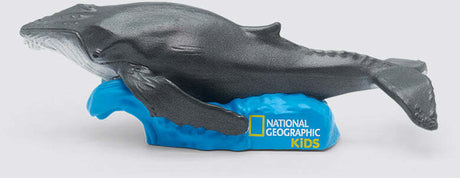 National Geographic's Whale