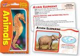 Animals Pocket Flash Cards