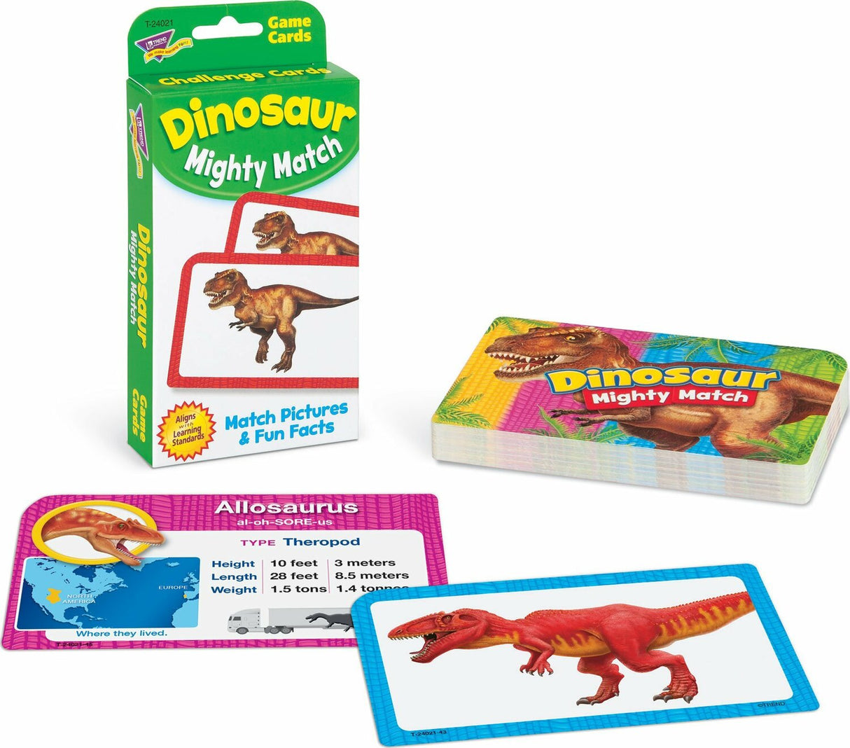 Dinosaur Mighty Match Challenge Cards